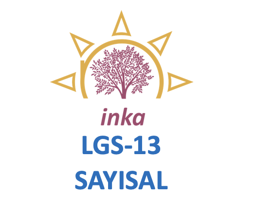LGS-13 Sayısal